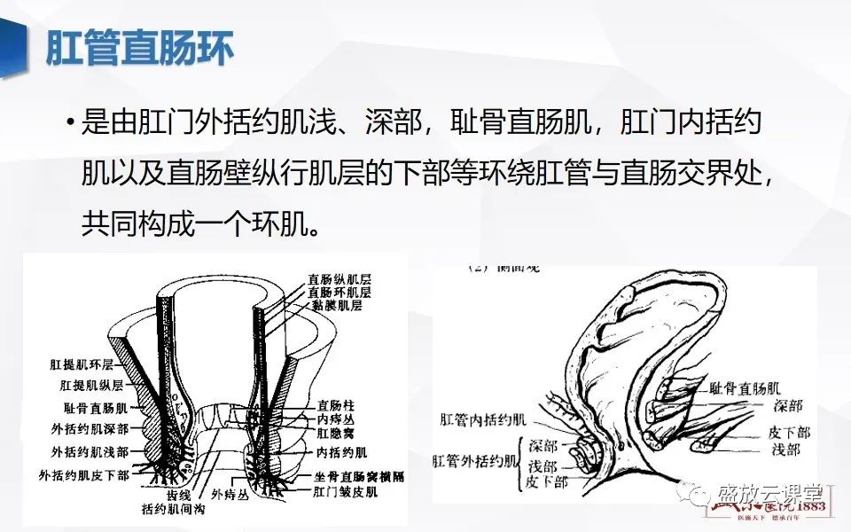 影像PPT - 【PPT】直肠癌术前MR分期-7