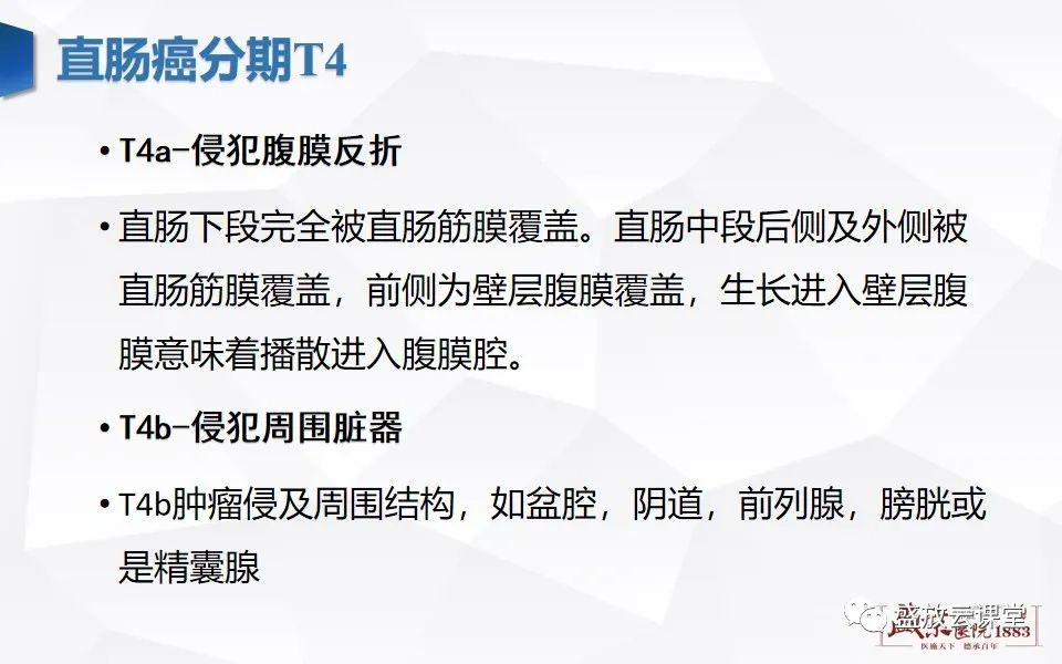 影像PPT - 【PPT】直肠癌术前MR分期-24