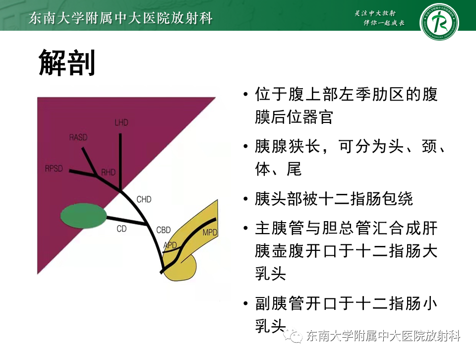 影像PPT - 【PPT】胰腺癌影像诊断及鉴别诊断-6