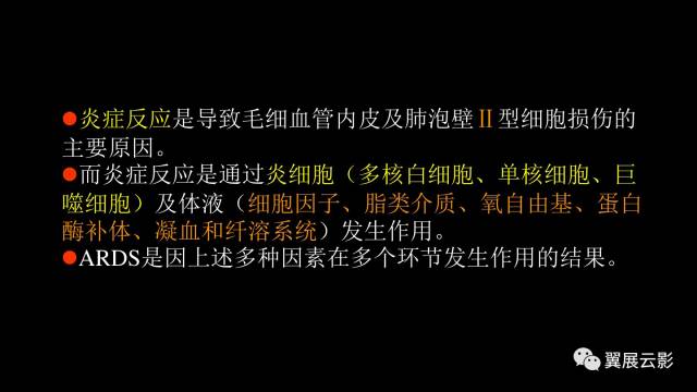 影像PPT - 【PPT】急性呼吸窘迫综合征-8