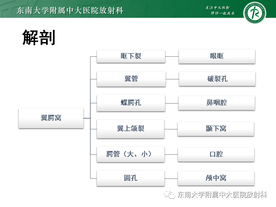 影像PPT - 【PPT】鼻咽纤维血管瘤-12 影像PPT - 【PPT】鼻咽纤维血管瘤-12