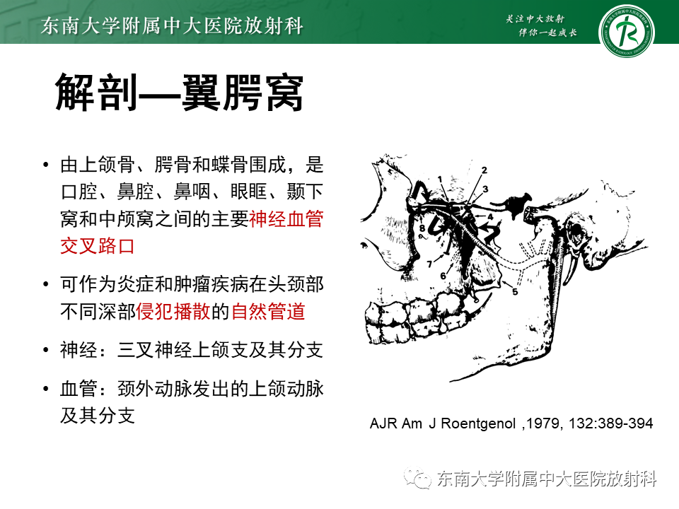 影像PPT - 【PPT】鼻咽纤维血管瘤-11 影像PPT - 【PPT】鼻咽纤维血管瘤-11