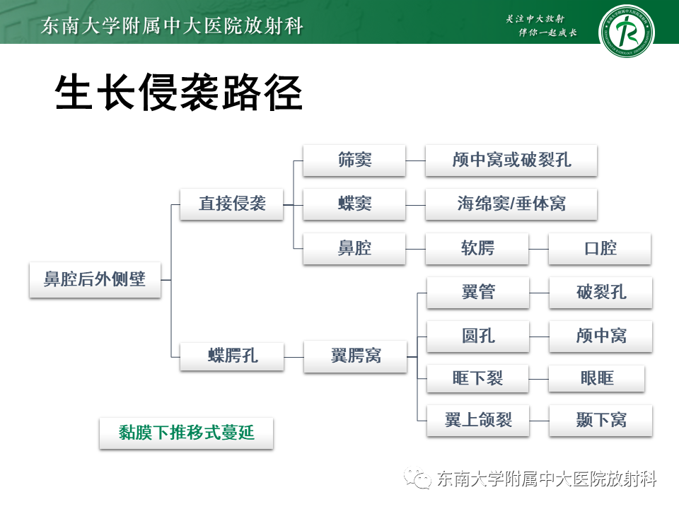 影像PPT - 【PPT】鼻咽纤维血管瘤-15 影像PPT - 【PPT】鼻咽纤维血管瘤-15
