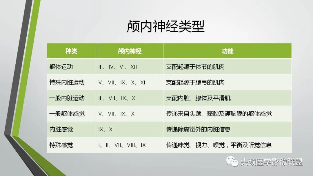 影像PPT - 【PPT】颅内神经影像解剖与病例-4