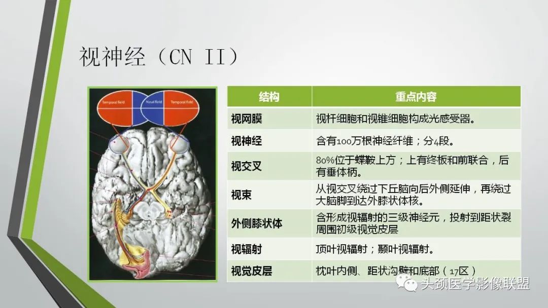 影像PPT - 【PPT】颅内神经影像解剖与病例-14