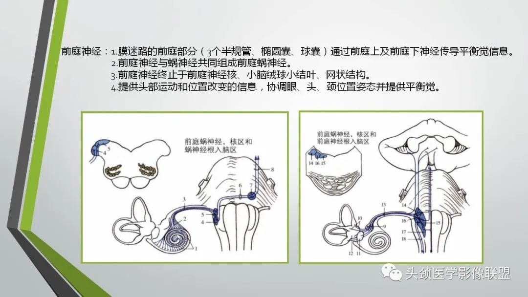 影像PPT - 【PPT】颅内神经影像解剖与病例-59