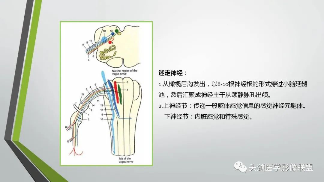 影像PPT - 【PPT】颅内神经影像解剖与病例-79