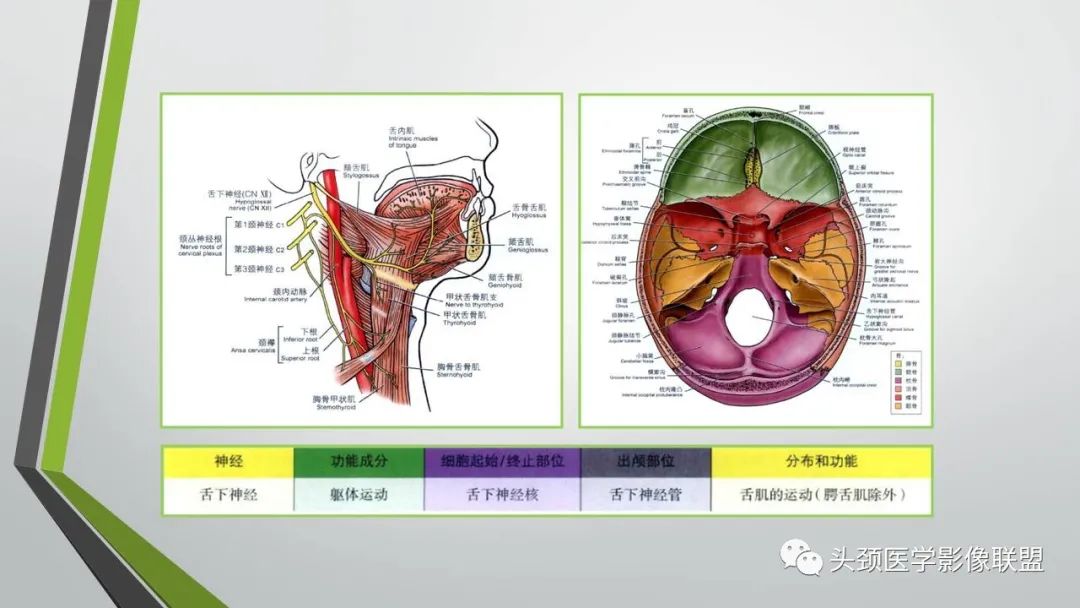 影像PPT - 【PPT】颅内神经影像解剖与病例-90