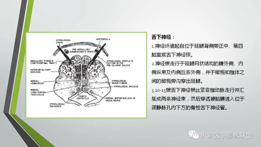 影像PPT - 【PPT】颅内神经影像解剖与病例-91