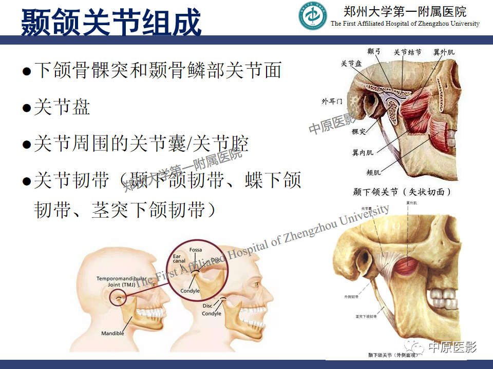 影像PPT - 【PPT】颞颌关节紊乱病的MRI诊断-4