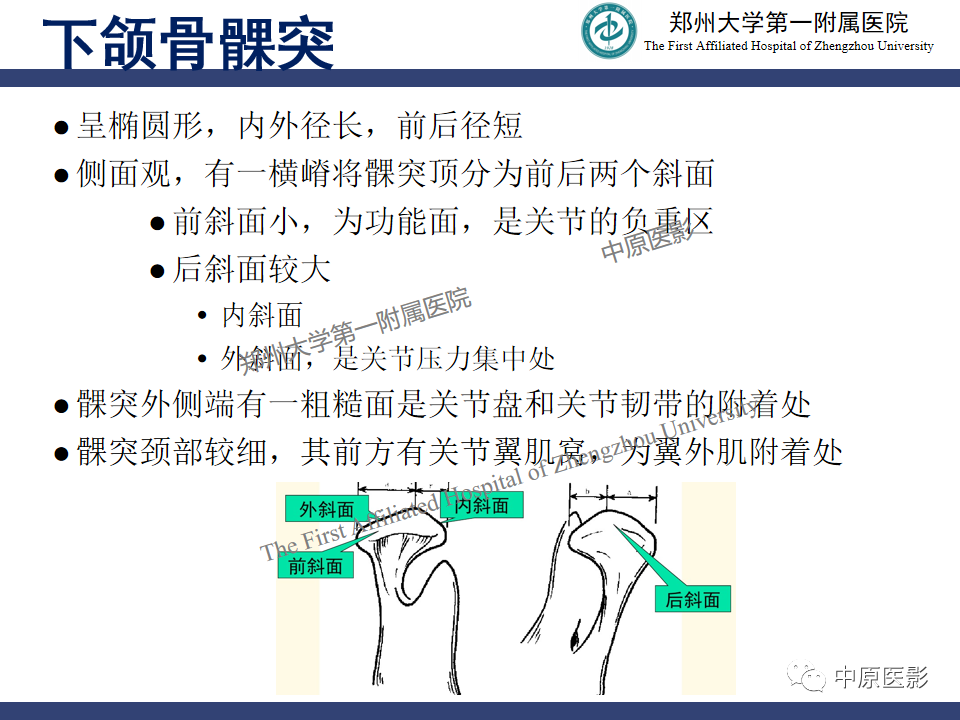影像PPT - 【PPT】颞颌关节紊乱病的MRI诊断-5