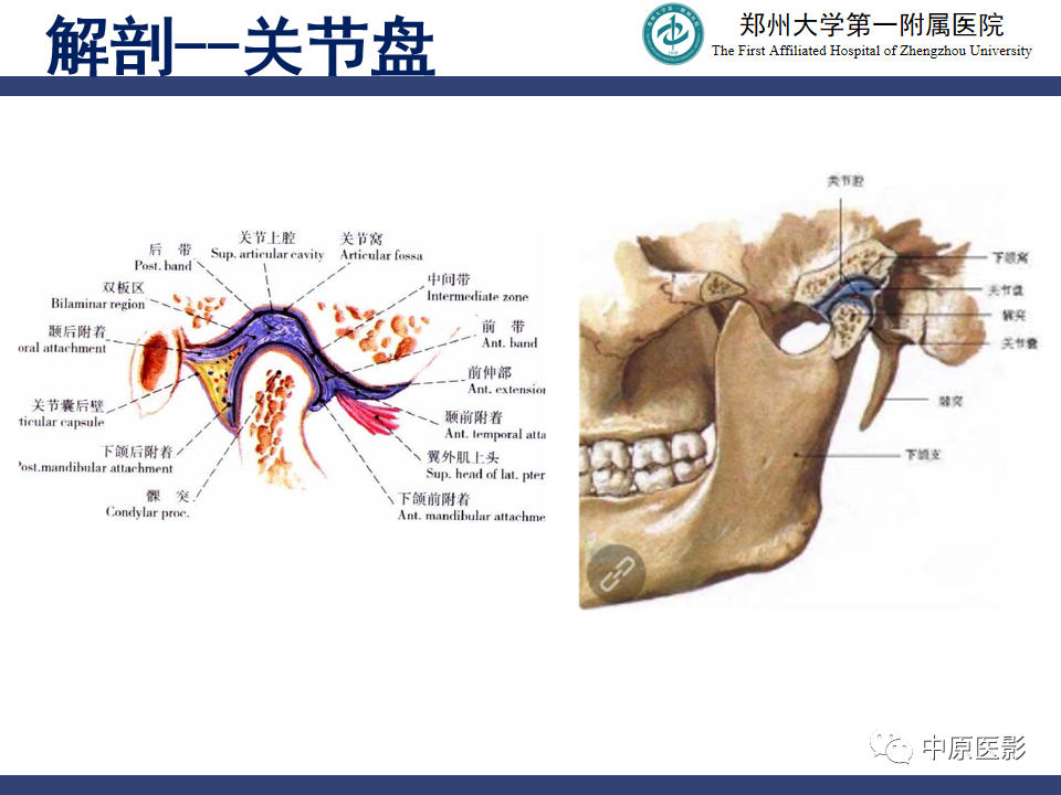 影像PPT - 【PPT】颞颌关节紊乱病的MRI诊断-8