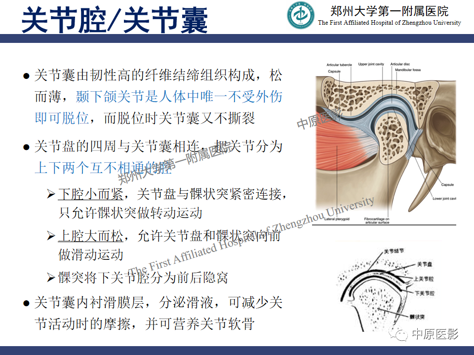 影像PPT - 【PPT】颞颌关节紊乱病的MRI诊断-9