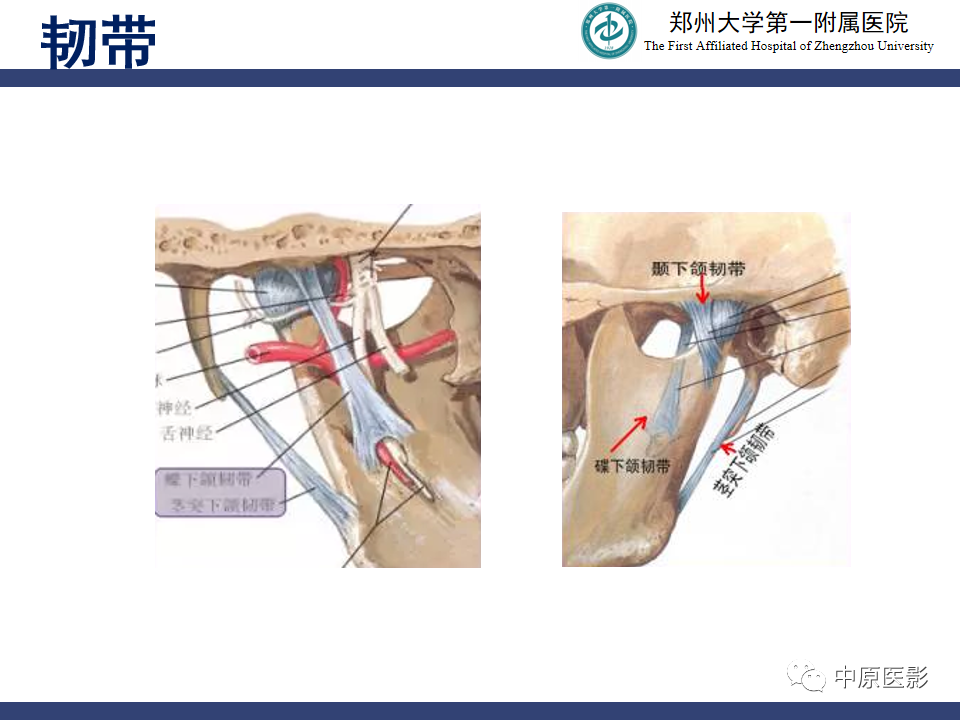 影像PPT - 【PPT】颞颌关节紊乱病的MRI诊断-11