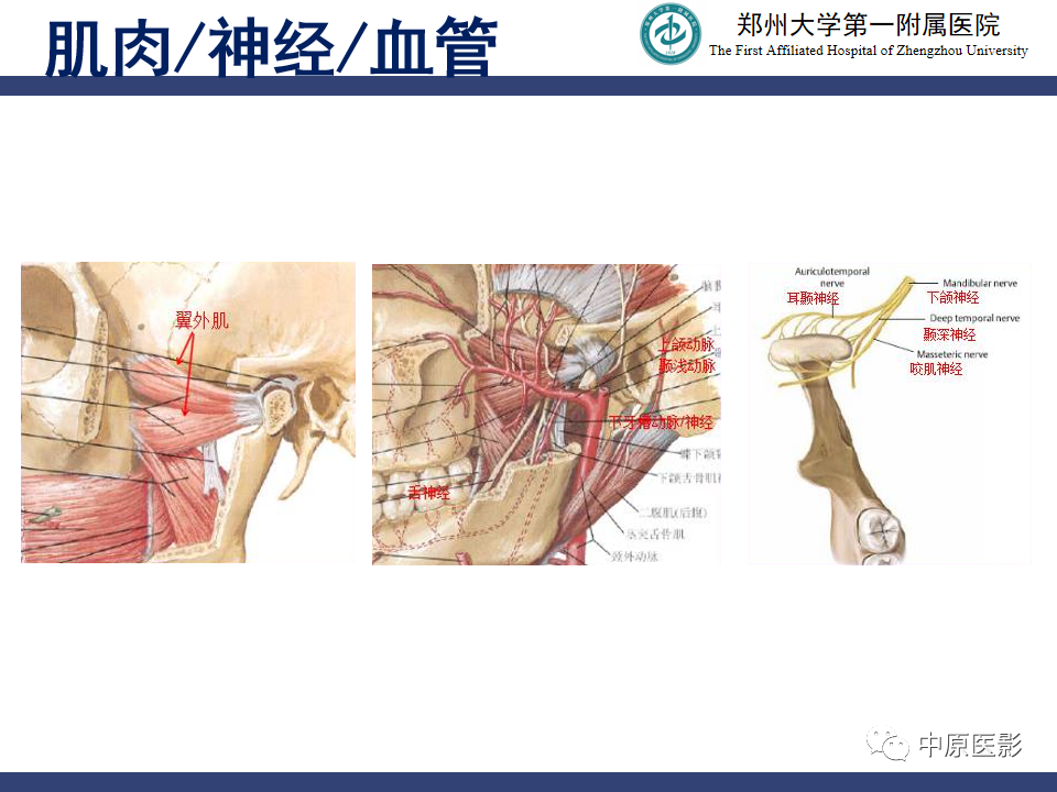 影像PPT - 【PPT】颞颌关节紊乱病的MRI诊断-13