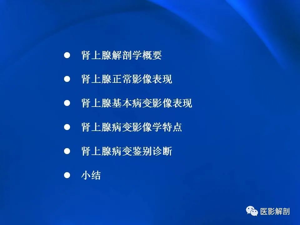 影像PPT - 【PPT】肾上腺解剖及相关病变的影像诊断-2