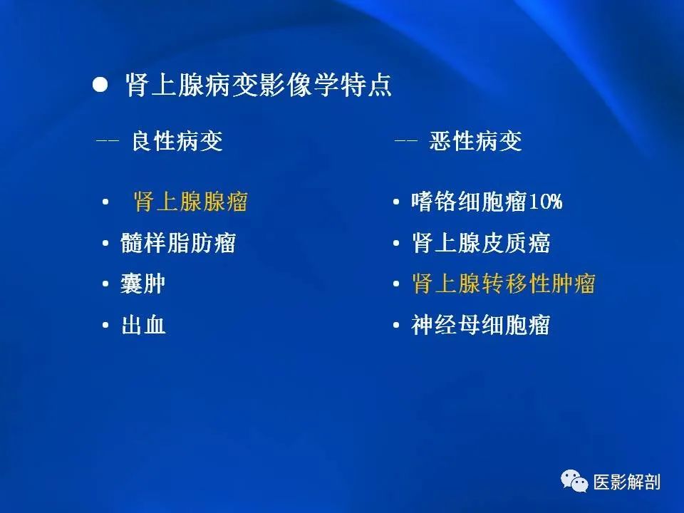 影像PPT - 【PPT】肾上腺解剖及相关病变的影像诊断-26