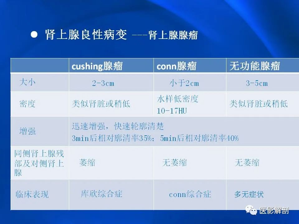 影像PPT - 【PPT】肾上腺解剖及相关病变的影像诊断-29