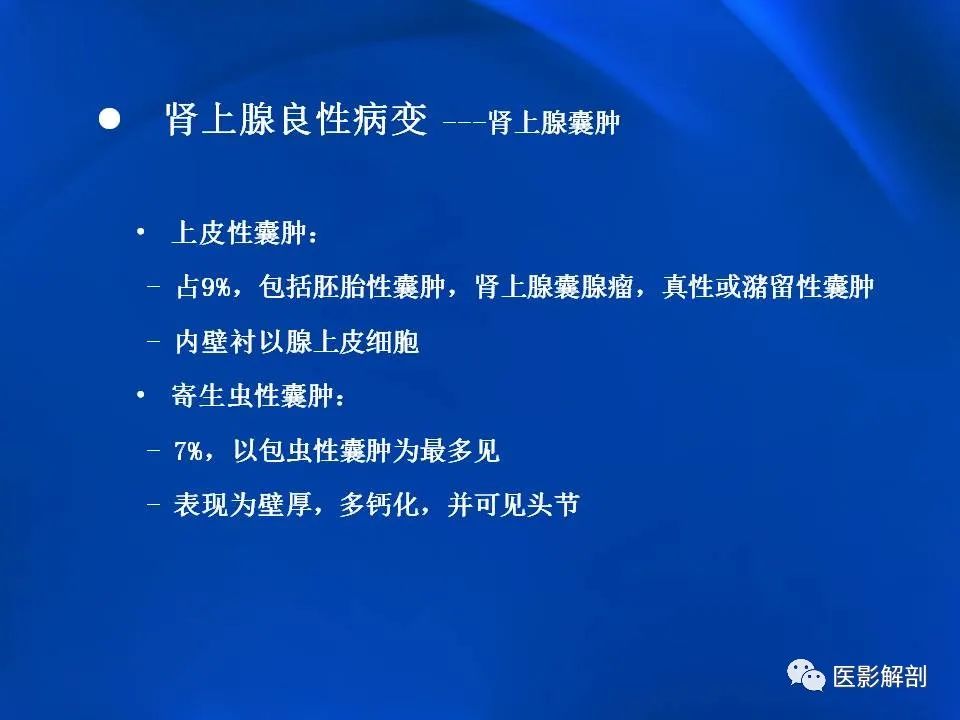 影像PPT - 【PPT】肾上腺解剖及相关病变的影像诊断-60