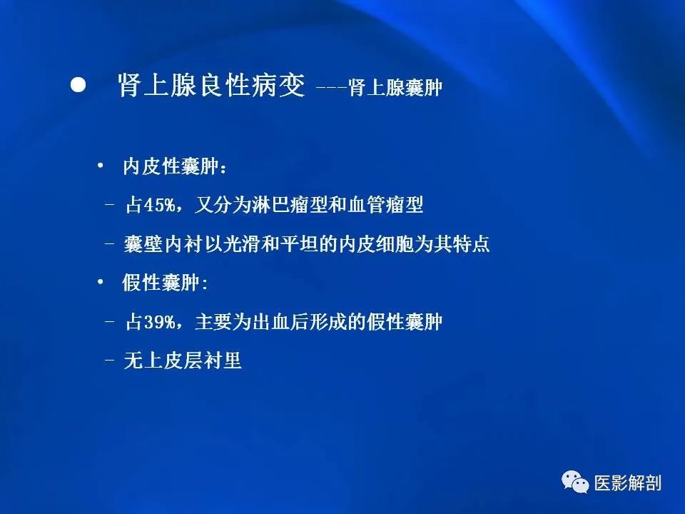 影像PPT - 【PPT】肾上腺解剖及相关病变的影像诊断-59