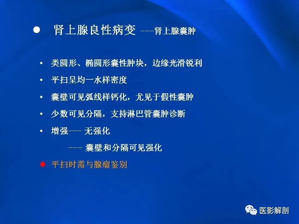 影像PPT - 【PPT】肾上腺解剖及相关病变的影像诊断-61