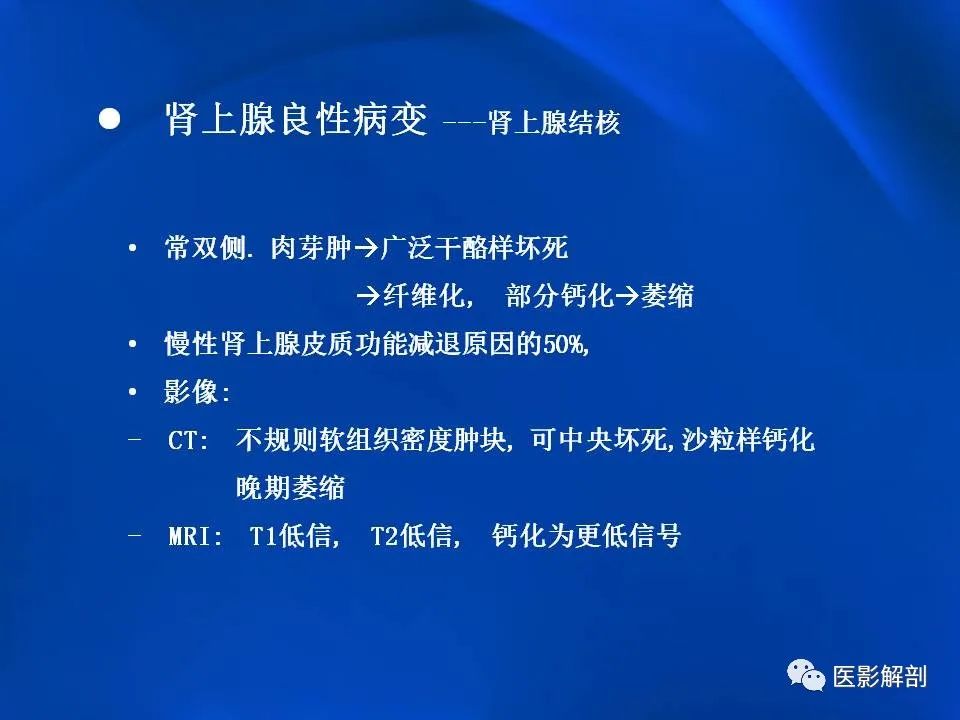 影像PPT - 【PPT】肾上腺解剖及相关病变的影像诊断-70