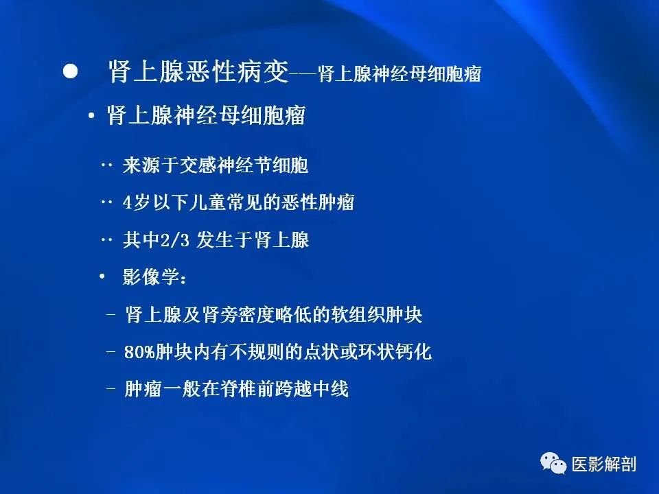 影像PPT - 【PPT】肾上腺解剖及相关病变的影像诊断-95