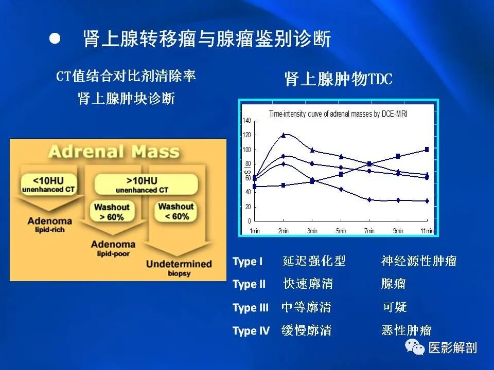 影像PPT - 【PPT】肾上腺解剖及相关病变的影像诊断-106