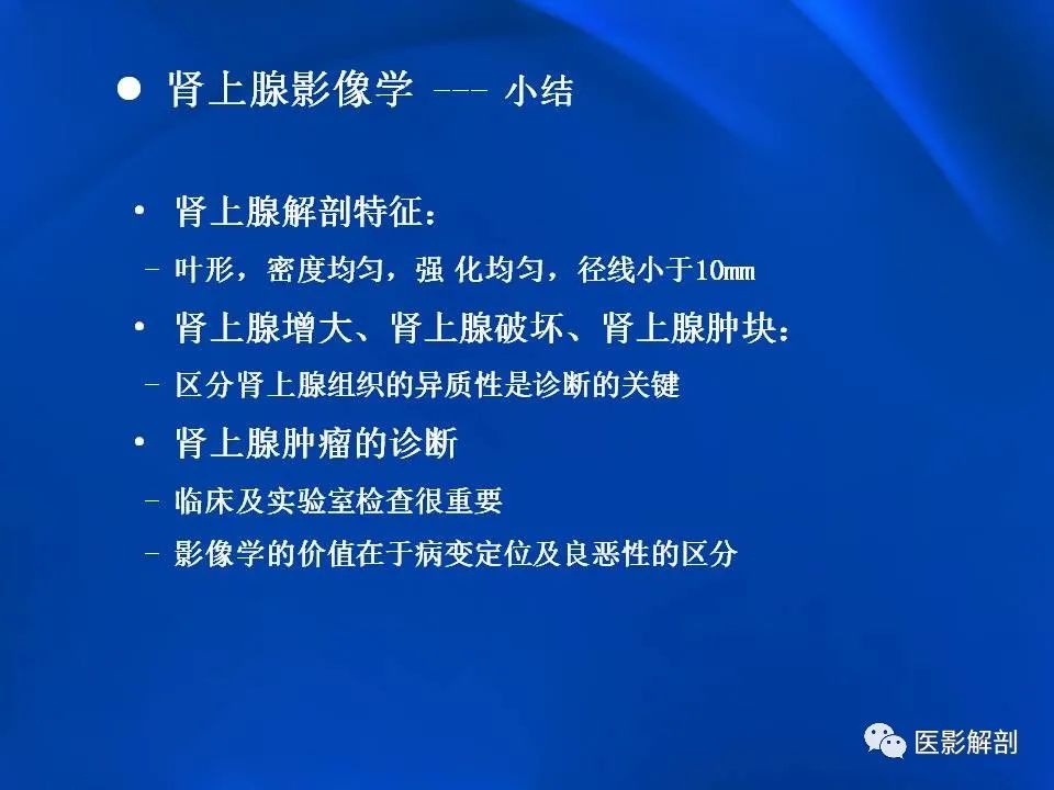 影像PPT - 【PPT】肾上腺解剖及相关病变的影像诊断-107