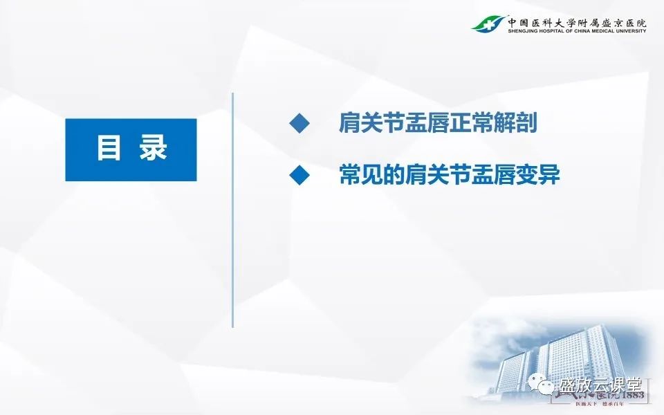 影像PPT - 【PPT】肩关节盂唇解剖及变异-2