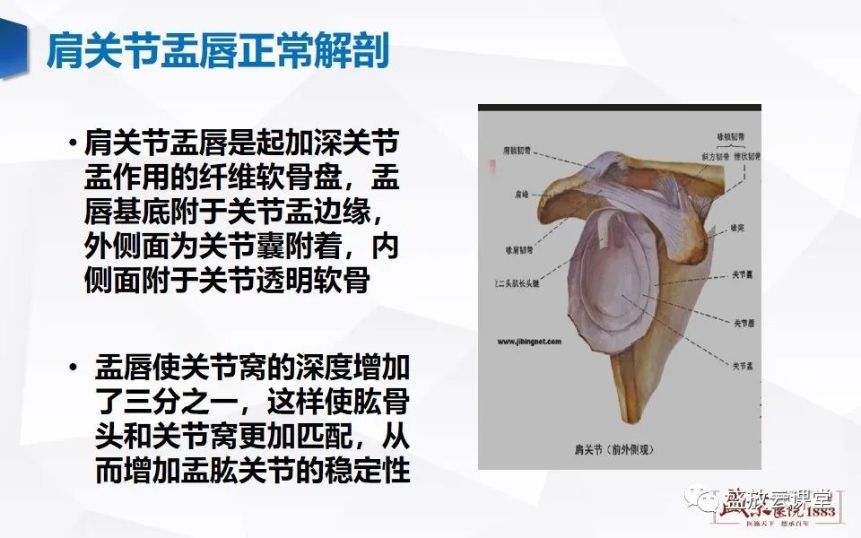 影像PPT - 【PPT】肩关节盂唇解剖及变异-4