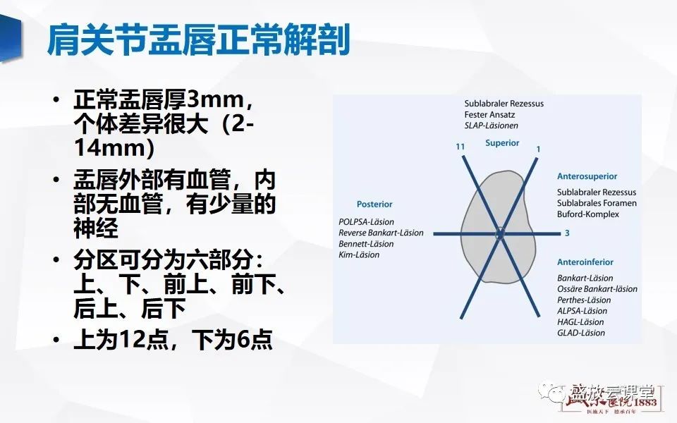 影像PPT - 【PPT】肩关节盂唇解剖及变异-5