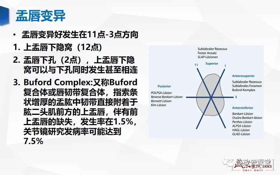 影像PPT - 【PPT】肩关节盂唇解剖及变异-11