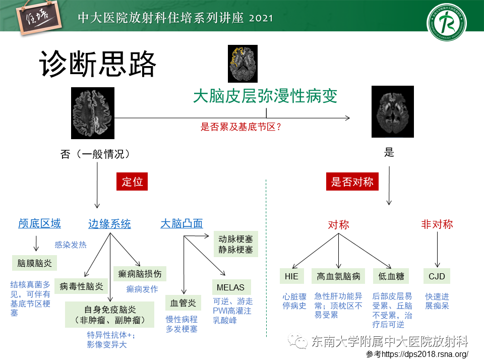 影像PPT - 【PPT】大脑皮层常见弥漫性病变的诊断思路-25