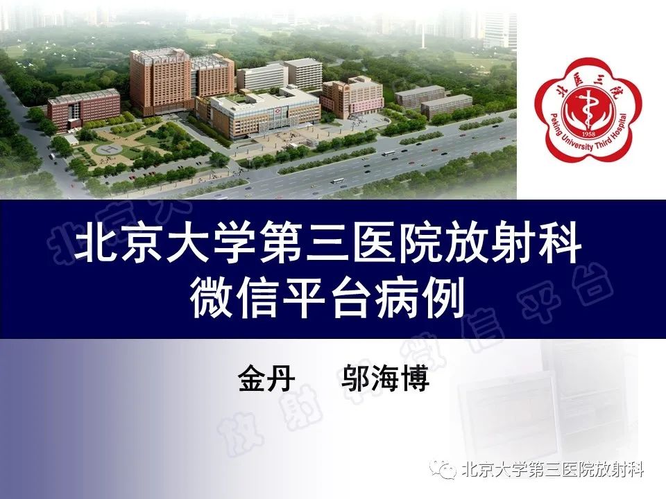 影像PPT - 【PPT】基底节区与丘脑对称性病变-1