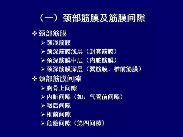 影像PPT - 【PPT】颈部和喉的断层解剖-3