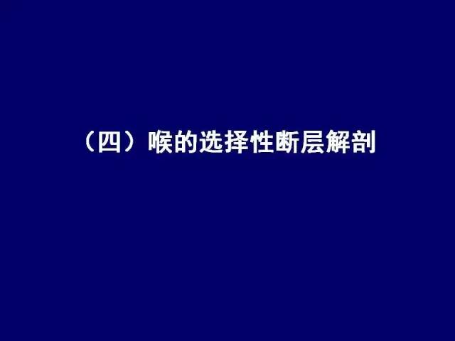 影像PPT - 【PPT】颈部和喉的断层解剖-46