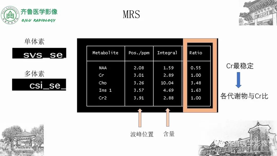 影像PPT - 【PPT】磁共振波谱MRS-13