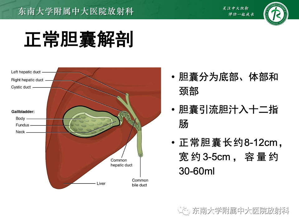 影像PPT - 【PPT】胆囊壁增厚性疾病的影像诊断思路-29 影像PPT - 【PPT】胆囊壁增厚性疾病的影像诊断思路-29