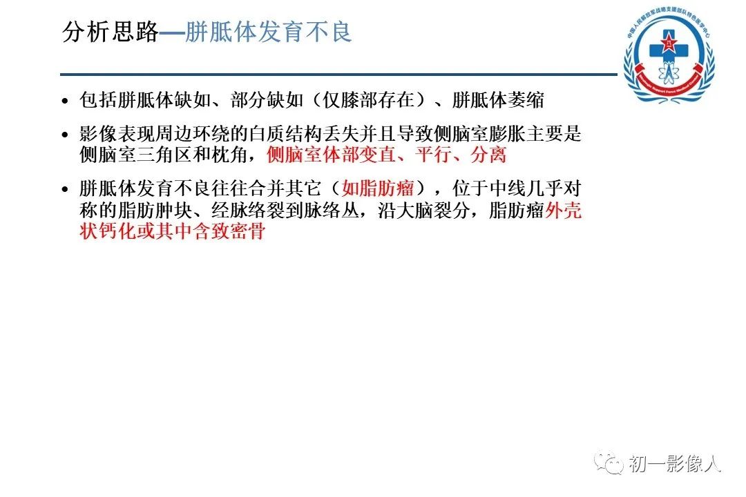 影像PPT - 【PPT】原发性胼胝体变性MBD-8