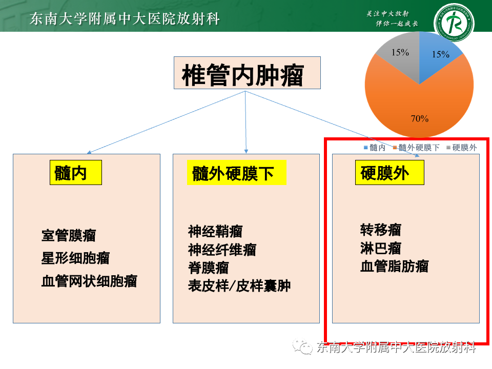 影像PPT - 【PPT】椎管内硬膜外肿瘤-16