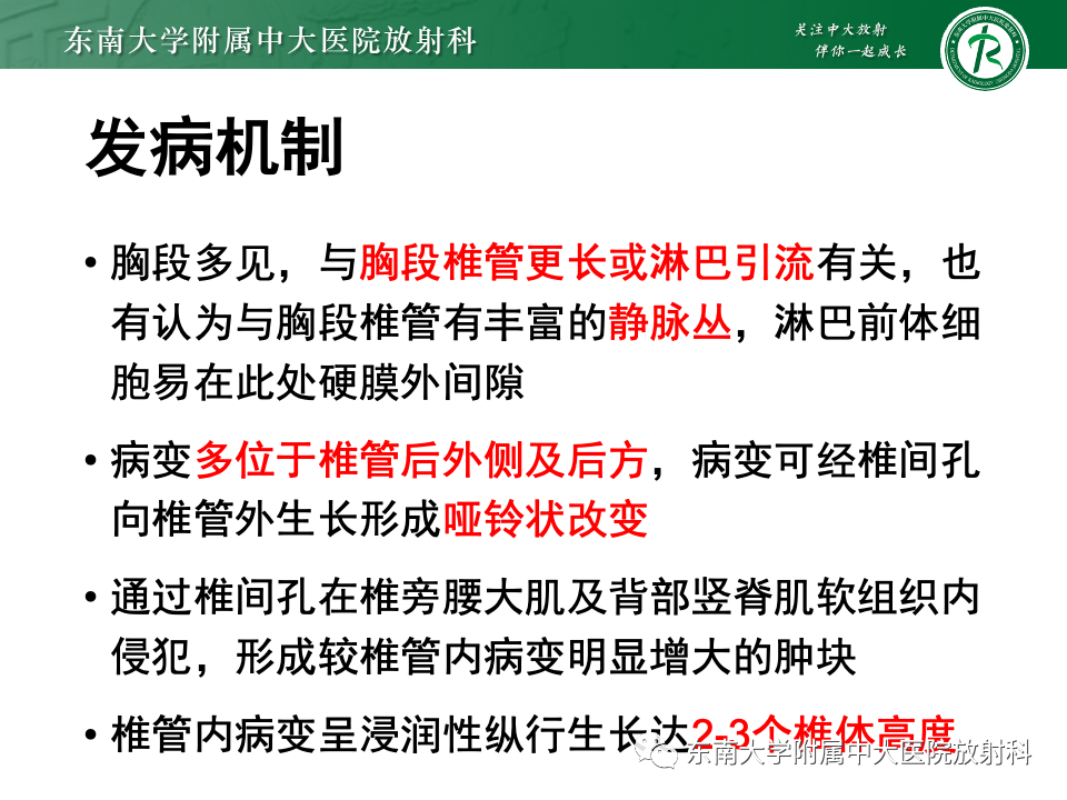 影像PPT - 【PPT】椎管内硬膜外肿瘤-19