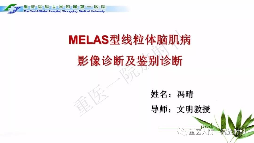 影像PPT - 【PPT】MELAS型线粒体脑肌病影像诊断及鉴别诊断-1