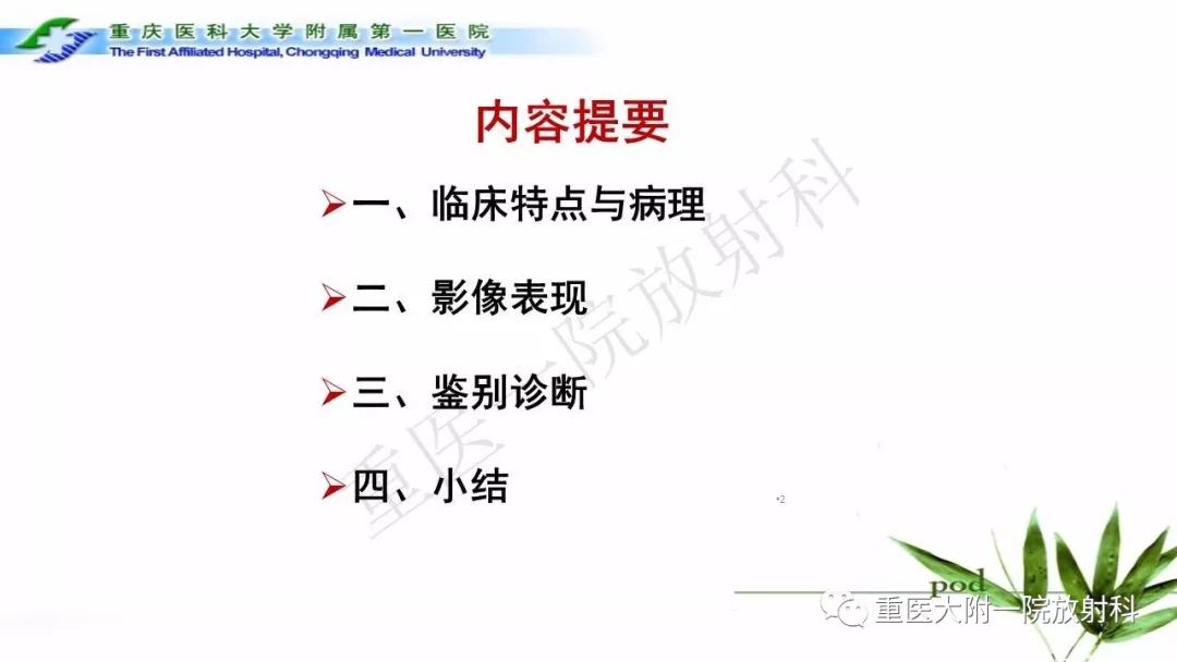 影像PPT - 【PPT】MELAS型线粒体脑肌病影像诊断及鉴别诊断-2