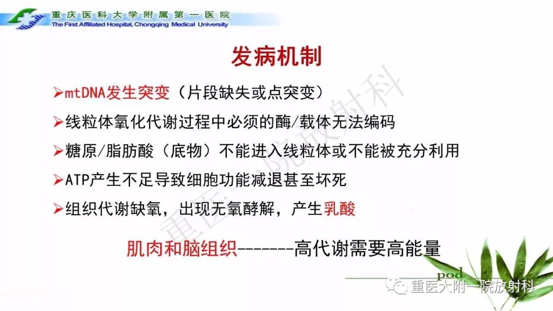影像PPT - 【PPT】MELAS型线粒体脑肌病影像诊断及鉴别诊断-4
