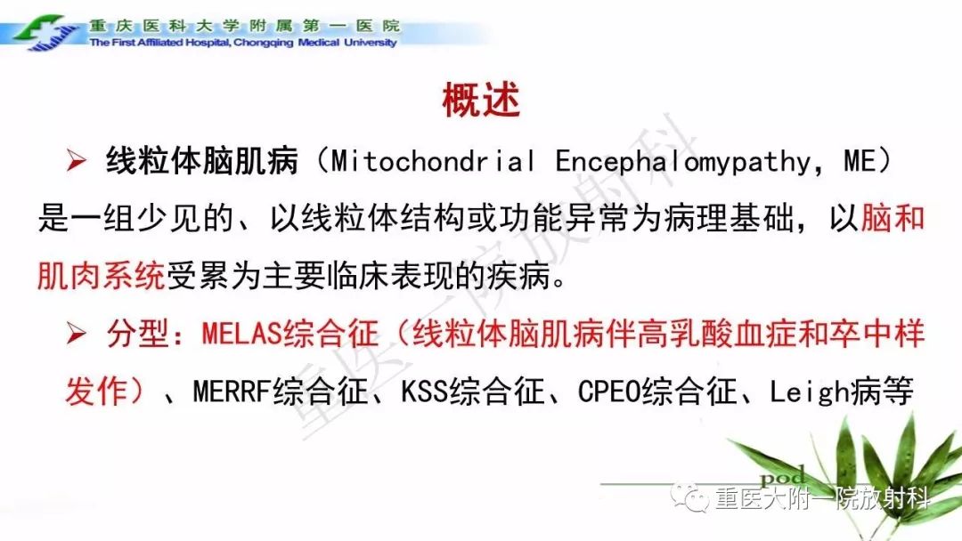 影像PPT - 【PPT】MELAS型线粒体脑肌病影像诊断及鉴别诊断-3