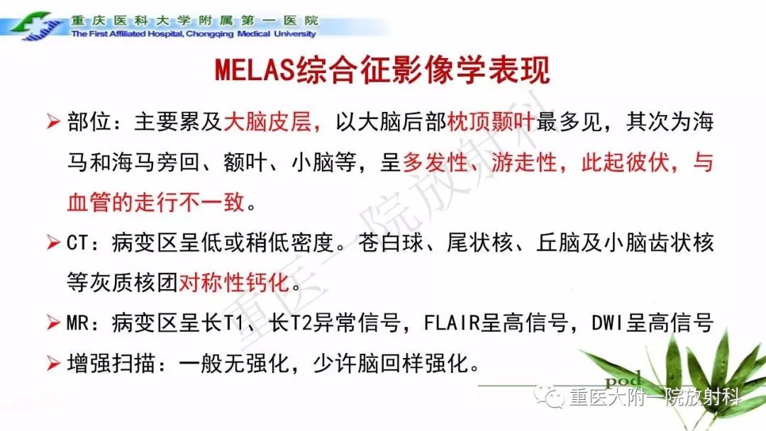影像PPT - 【PPT】MELAS型线粒体脑肌病影像诊断及鉴别诊断-10
