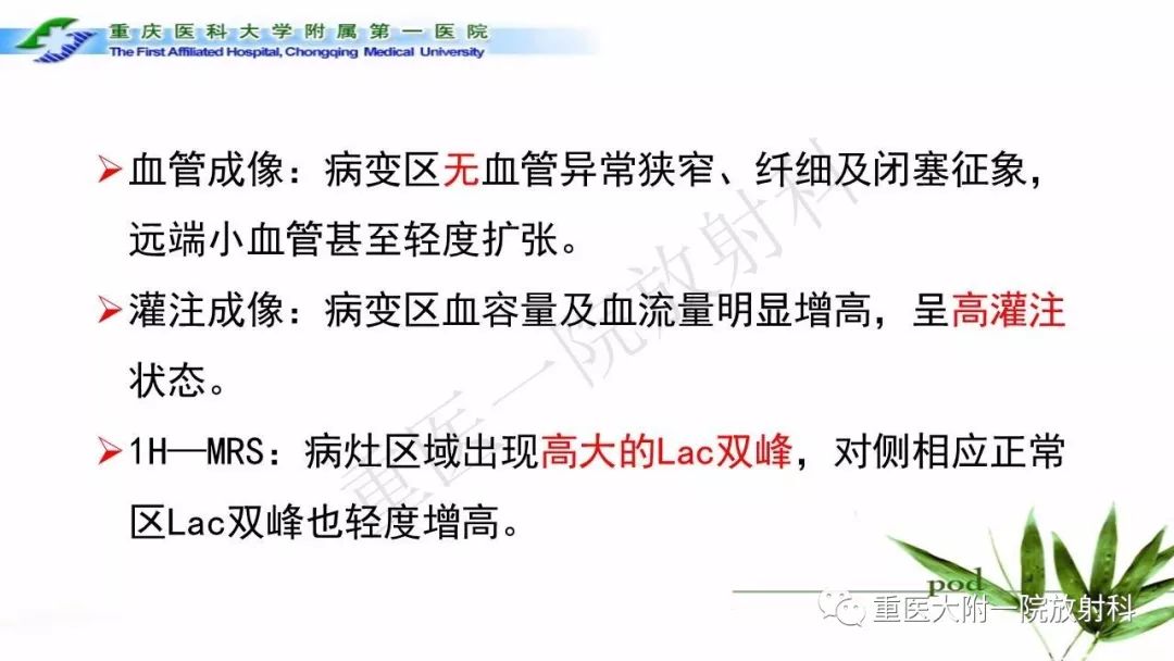 影像PPT - 【PPT】MELAS型线粒体脑肌病影像诊断及鉴别诊断-11