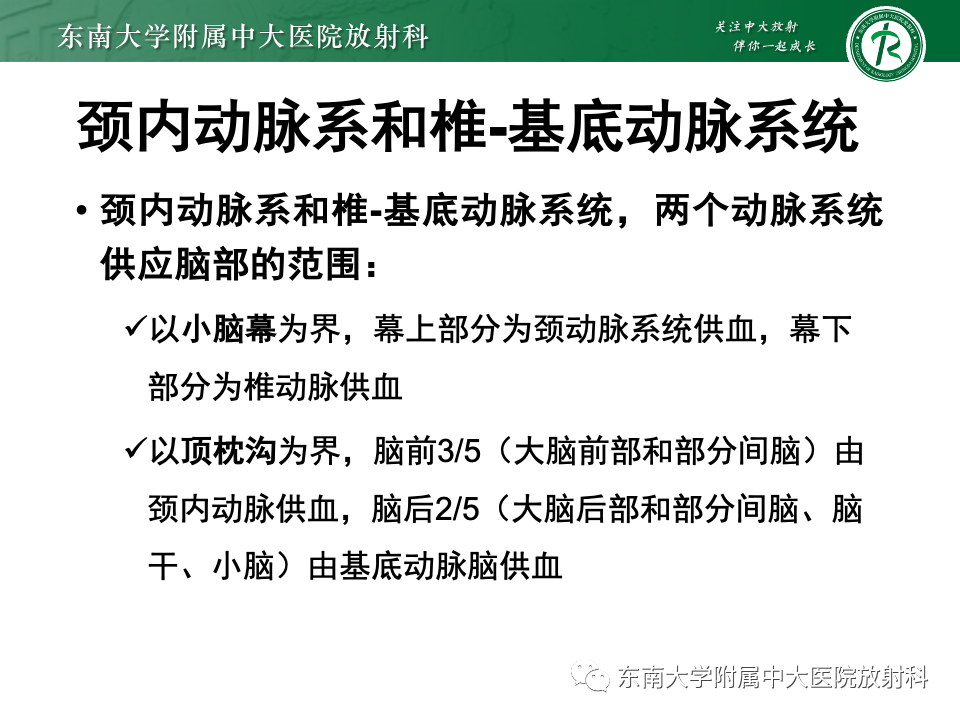 影像PPT - 【PPT】永存颈内—基底动脉吻合-8