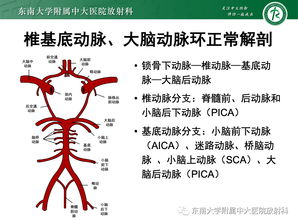 影像PPT - 【PPT】永存颈内—基底动脉吻合-10